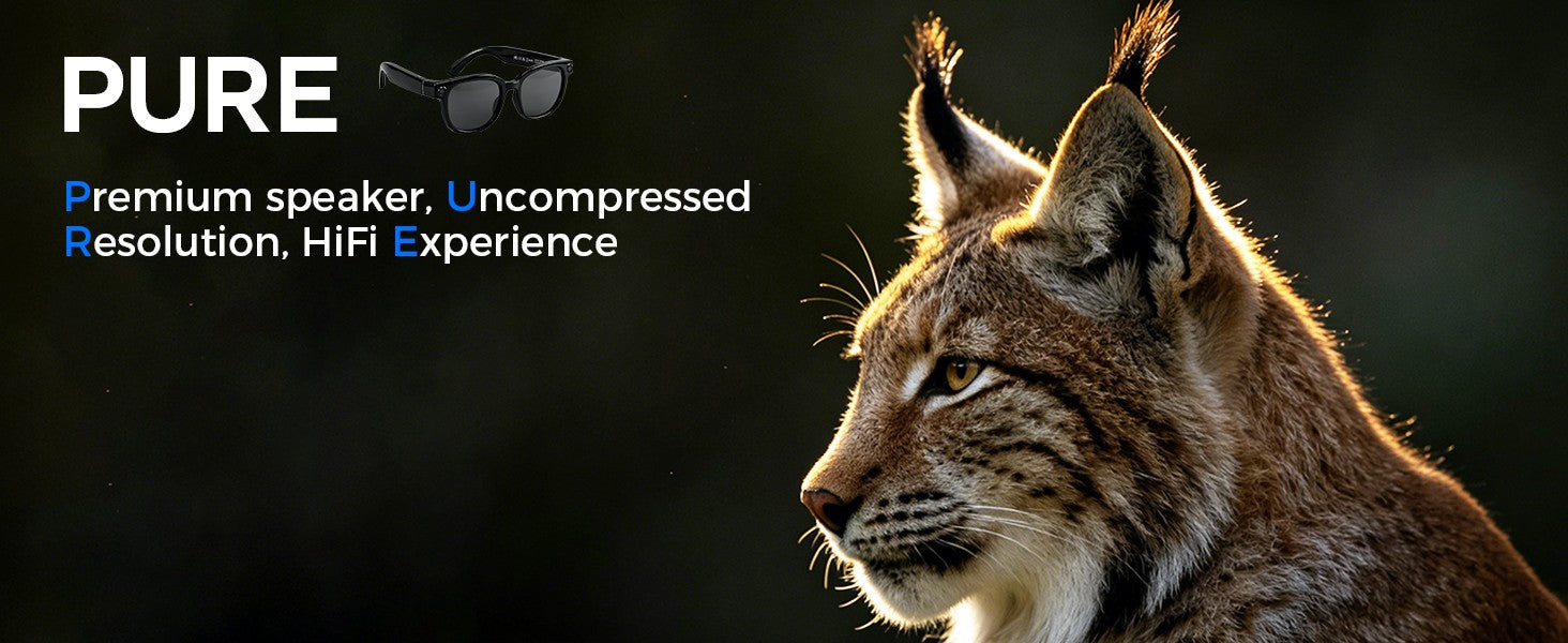 Premium speaker and high-fidelity audio